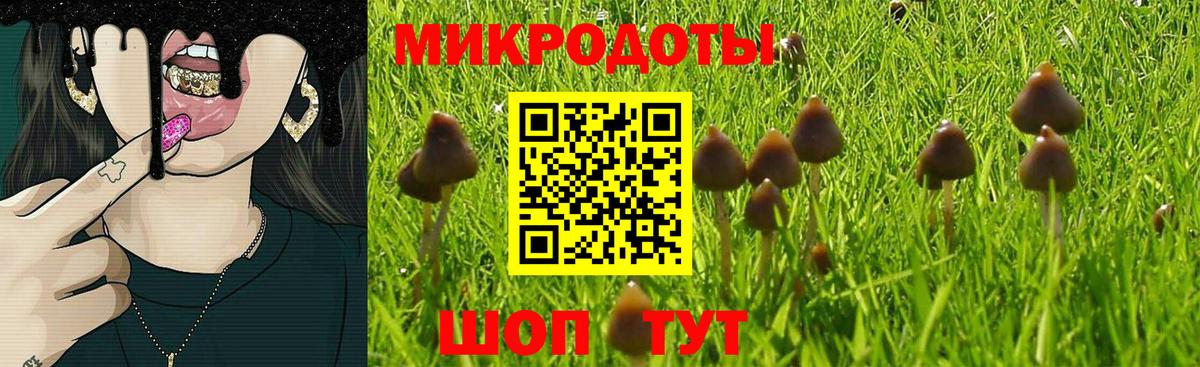 Галлюциногенные грибы мицелий  Вход с VPN  Кропоткин 